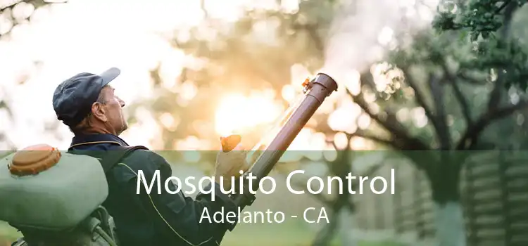 Mosquito Control Adelanto - CA