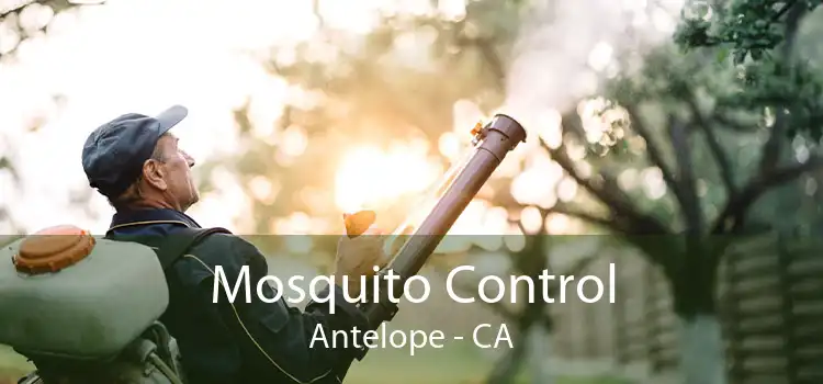 Mosquito Control Antelope - CA