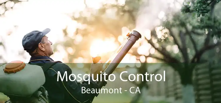 Mosquito Control Beaumont - CA