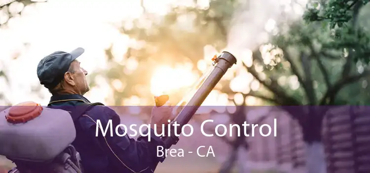 Mosquito Control Brea - CA