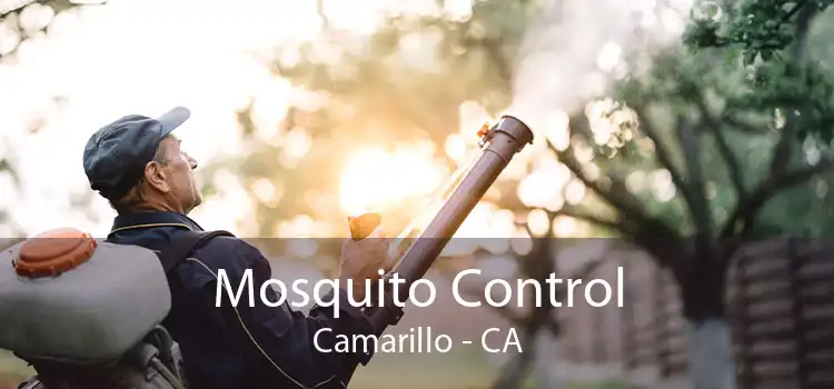 Mosquito Control Camarillo - CA