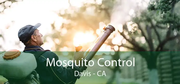 Mosquito Control Davis - CA