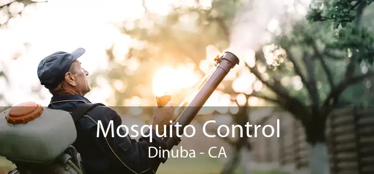 Mosquito Control Dinuba - CA