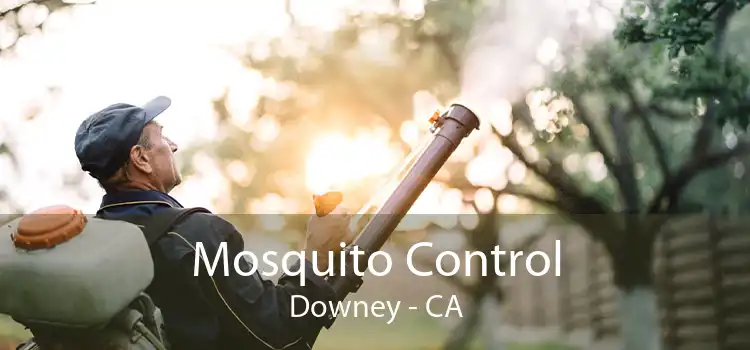 Mosquito Control Downey - CA