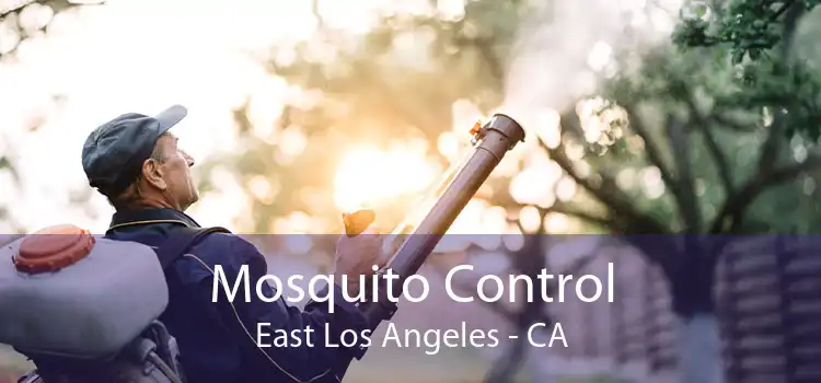 Mosquito Control East Los Angeles - CA