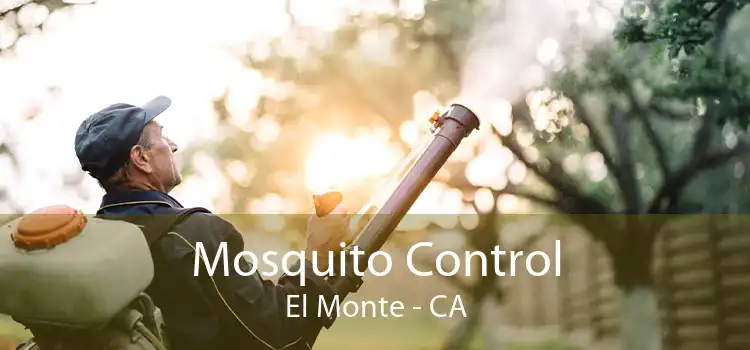 Mosquito Control El Monte - CA
