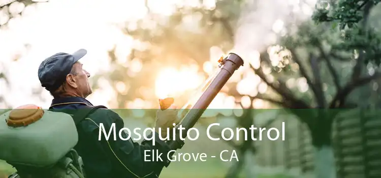 Mosquito Control Elk Grove - CA