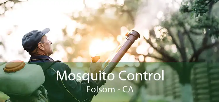 Mosquito Control Folsom - CA
