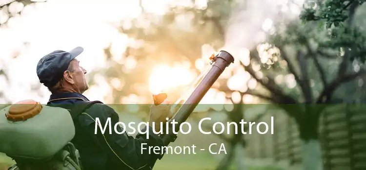 Mosquito Control Fremont - CA