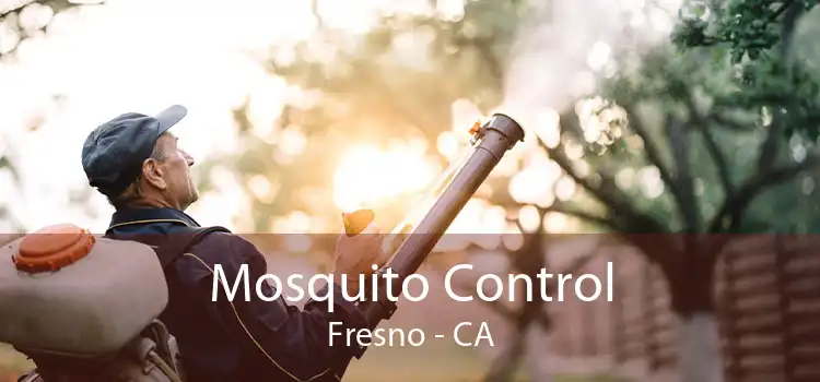 Mosquito Control Fresno - CA