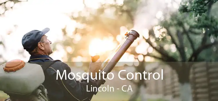 Mosquito Control Lincoln - CA