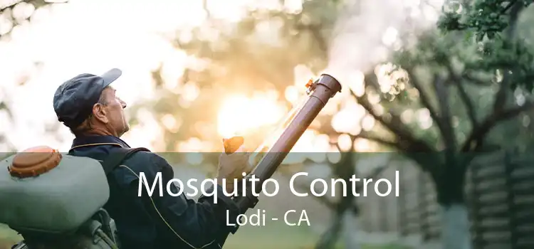 Mosquito Control Lodi - CA