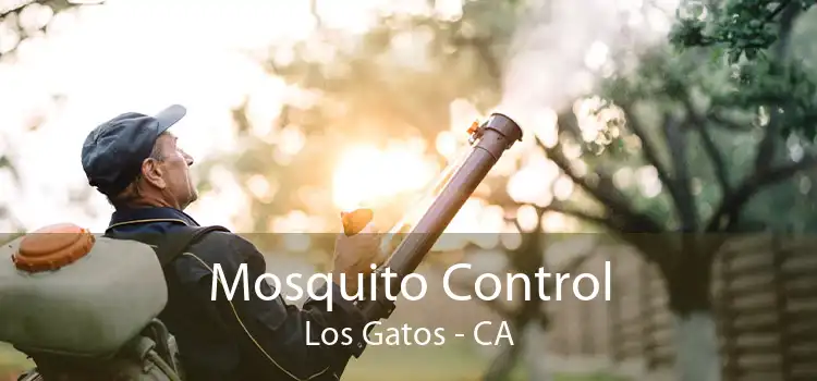 Mosquito Control Los Gatos - CA