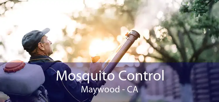 Mosquito Control Maywood - CA