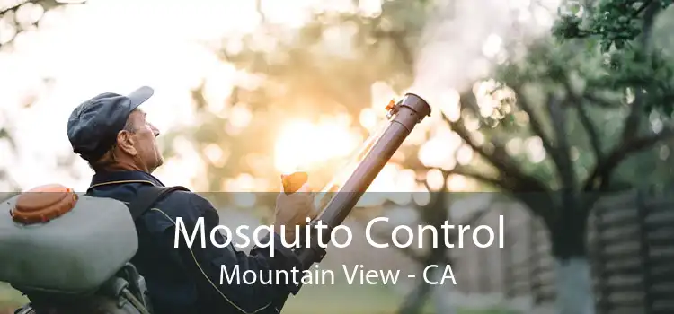 Mosquito Control Mountain View - CA