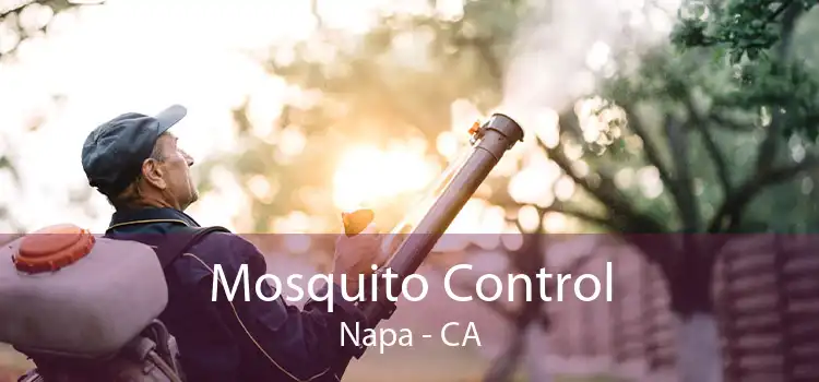 Mosquito Control Napa - CA