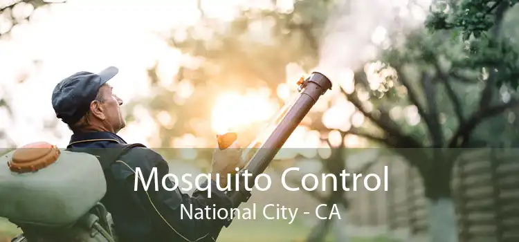 Mosquito Control National City - CA