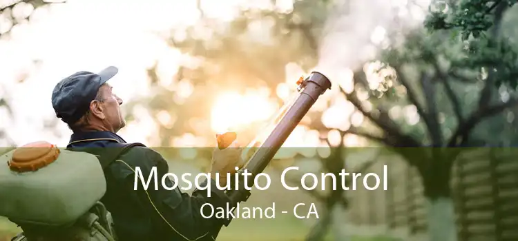 Mosquito Control Oakland - CA