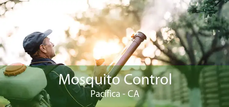 Mosquito Control Pacifica - CA