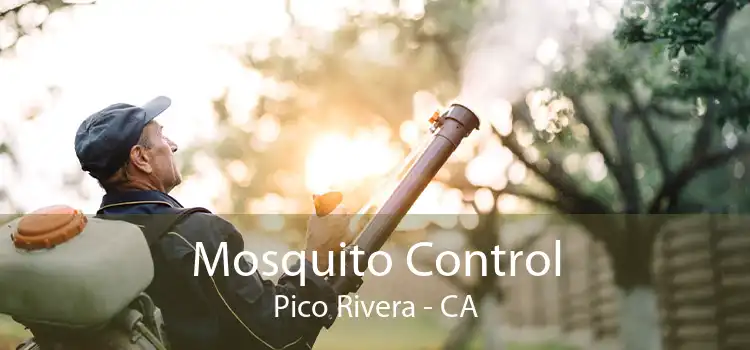 Mosquito Control Pico Rivera - CA