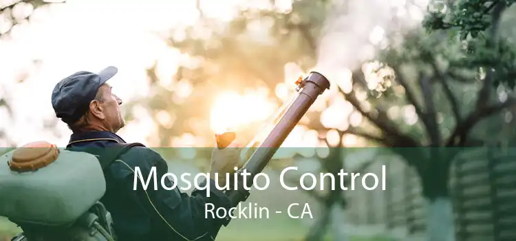 Mosquito Control Rocklin - CA