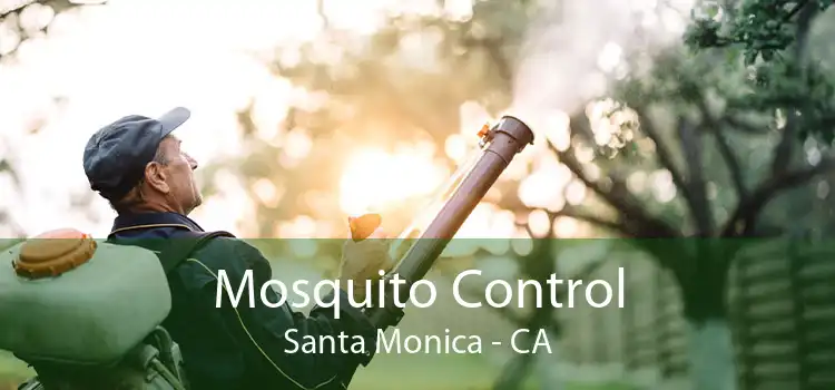 Mosquito Control Santa Monica - CA