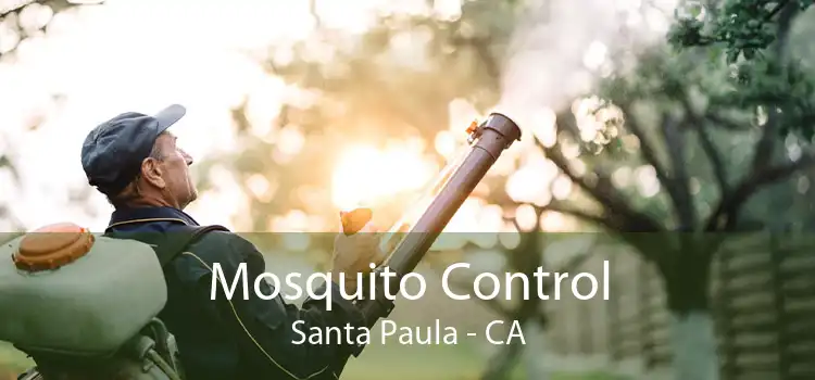 Mosquito Control Santa Paula - CA