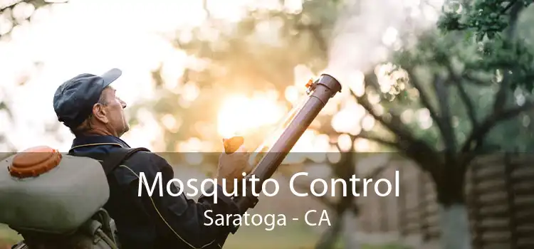 Mosquito Control Saratoga - CA