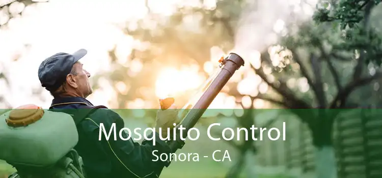 Mosquito Control Sonora - CA