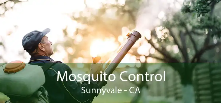 Mosquito Control Sunnyvale - CA