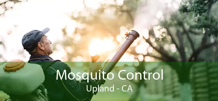 Mosquito Control Upland - CA