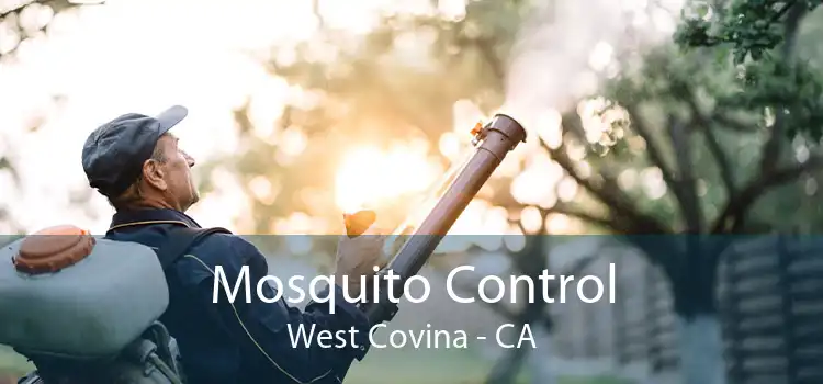 Mosquito Control West Covina - CA