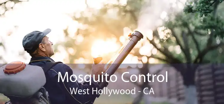 Mosquito Control West Hollywood - CA