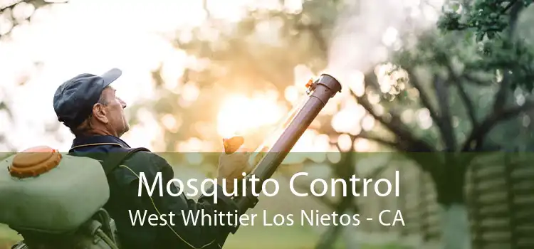 Mosquito Control West Whittier Los Nietos - CA