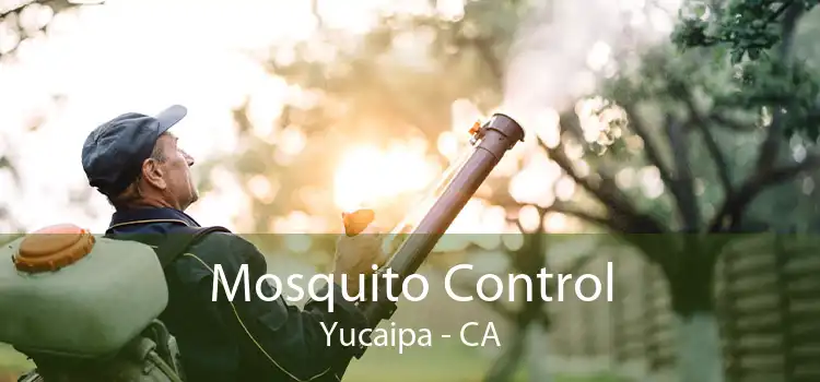 Mosquito Control Yucaipa - CA