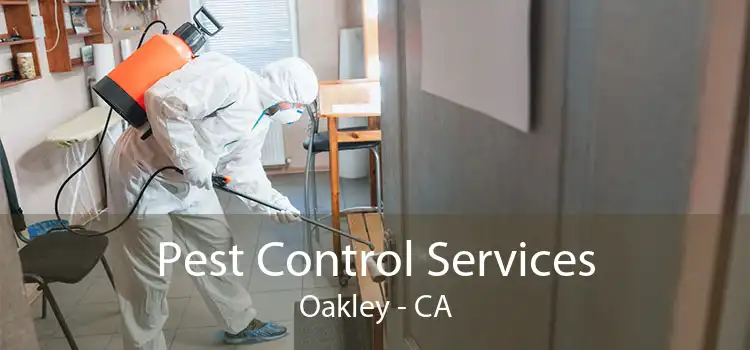 Pest Control Services Oakley - CA