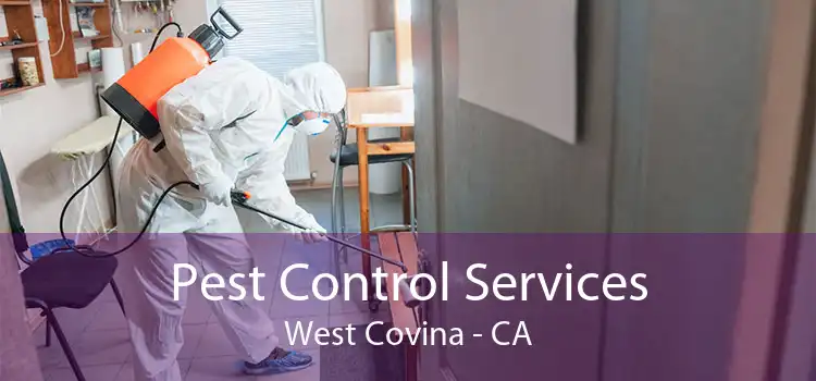 Pest Control Services West Covina - CA