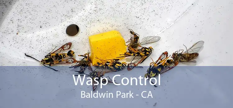 Wasp Control Baldwin Park - CA