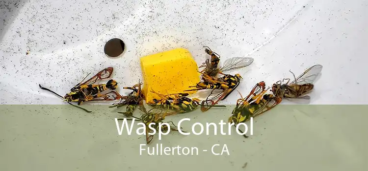 Wasp Control Fullerton - CA