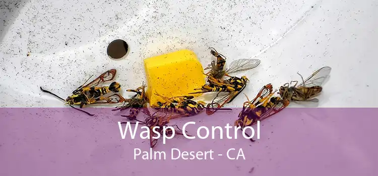 Wasp Control Palm Desert - CA