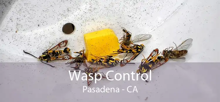 Wasp Control Pasadena - CA