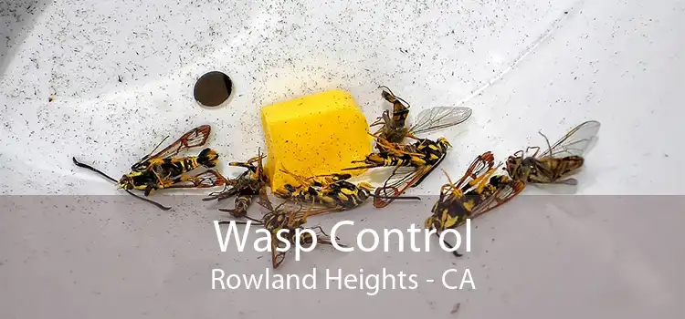 Wasp Control Rowland Heights - CA