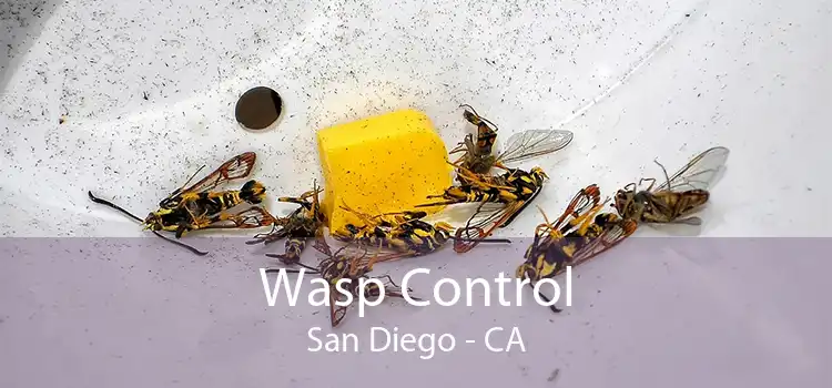 Wasp Control San Diego - CA