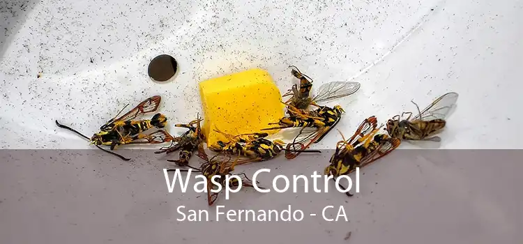 Wasp Control San Fernando - CA