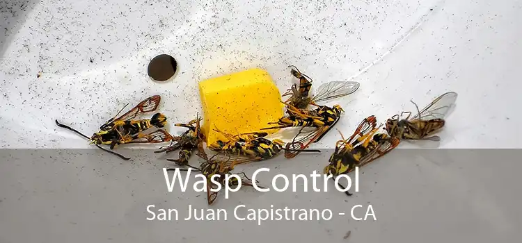 Wasp Control San Juan Capistrano - CA