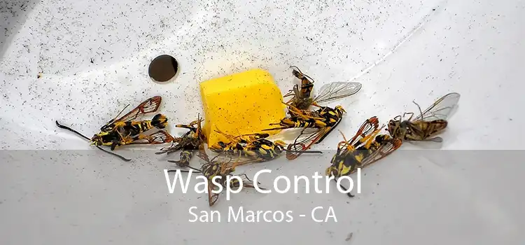 Wasp Control San Marcos - CA