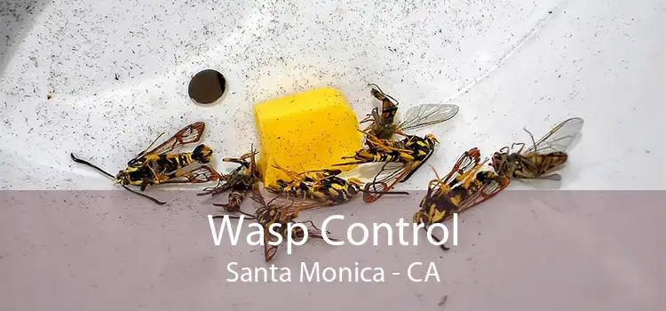 Wasp Control Santa Monica - CA