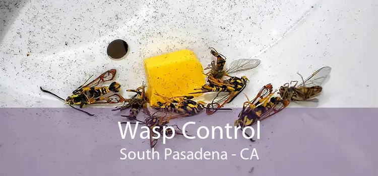 Wasp Control South Pasadena - CA