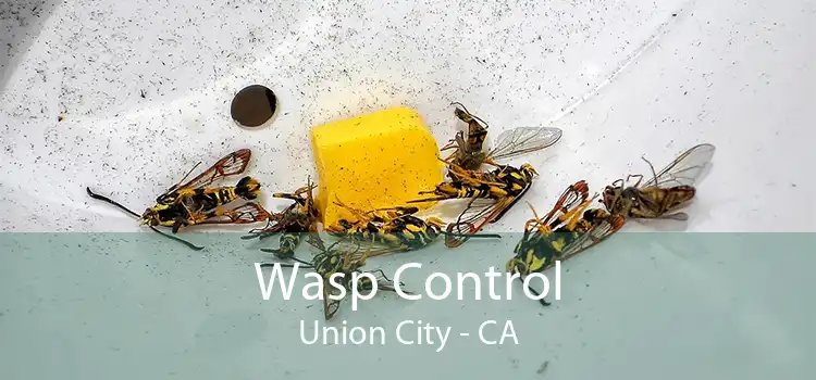 Wasp Control Union City - CA