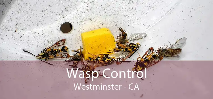 Wasp Control Westminster - CA